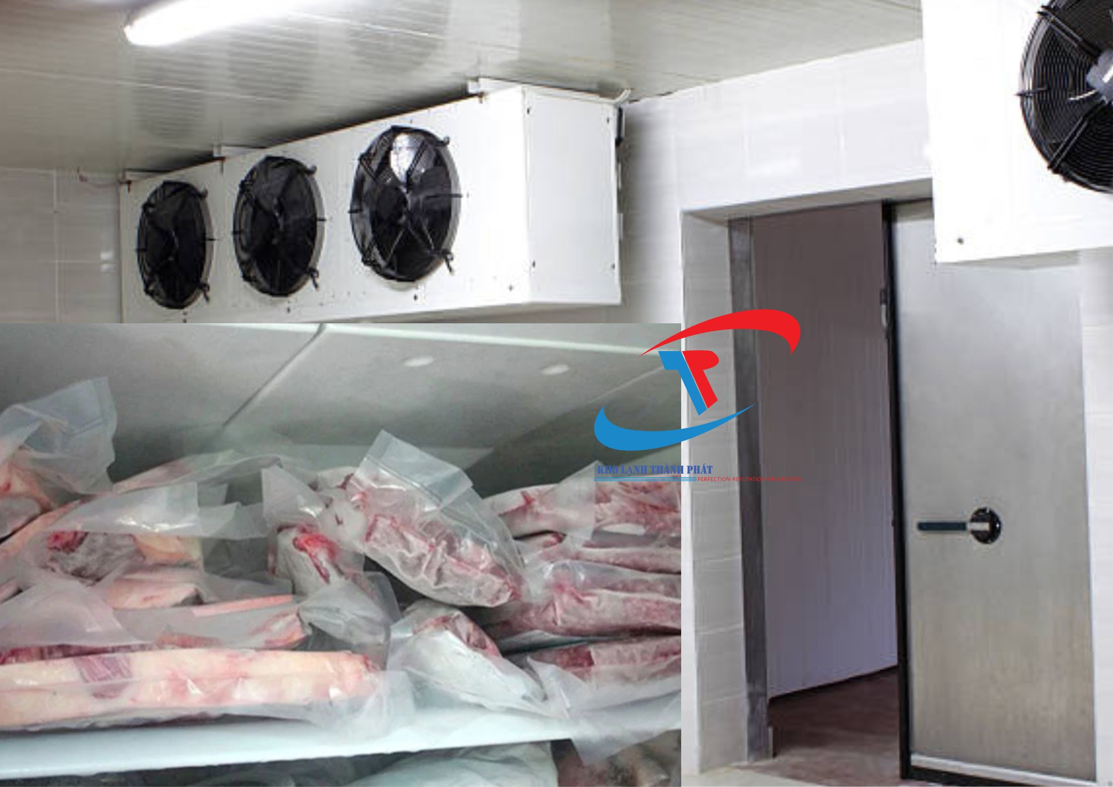 Lắp Đặt Kho Lạnh Bảo Quản Thịt Cá.